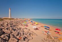 Faro renova quatro bandeiras azuis e celebra 26 anos consecutivos de distinção