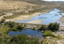 “Barragem da Foupana é uma falsa solução para a seca, que destrói o património natural do Algarve” – considera a Almargem